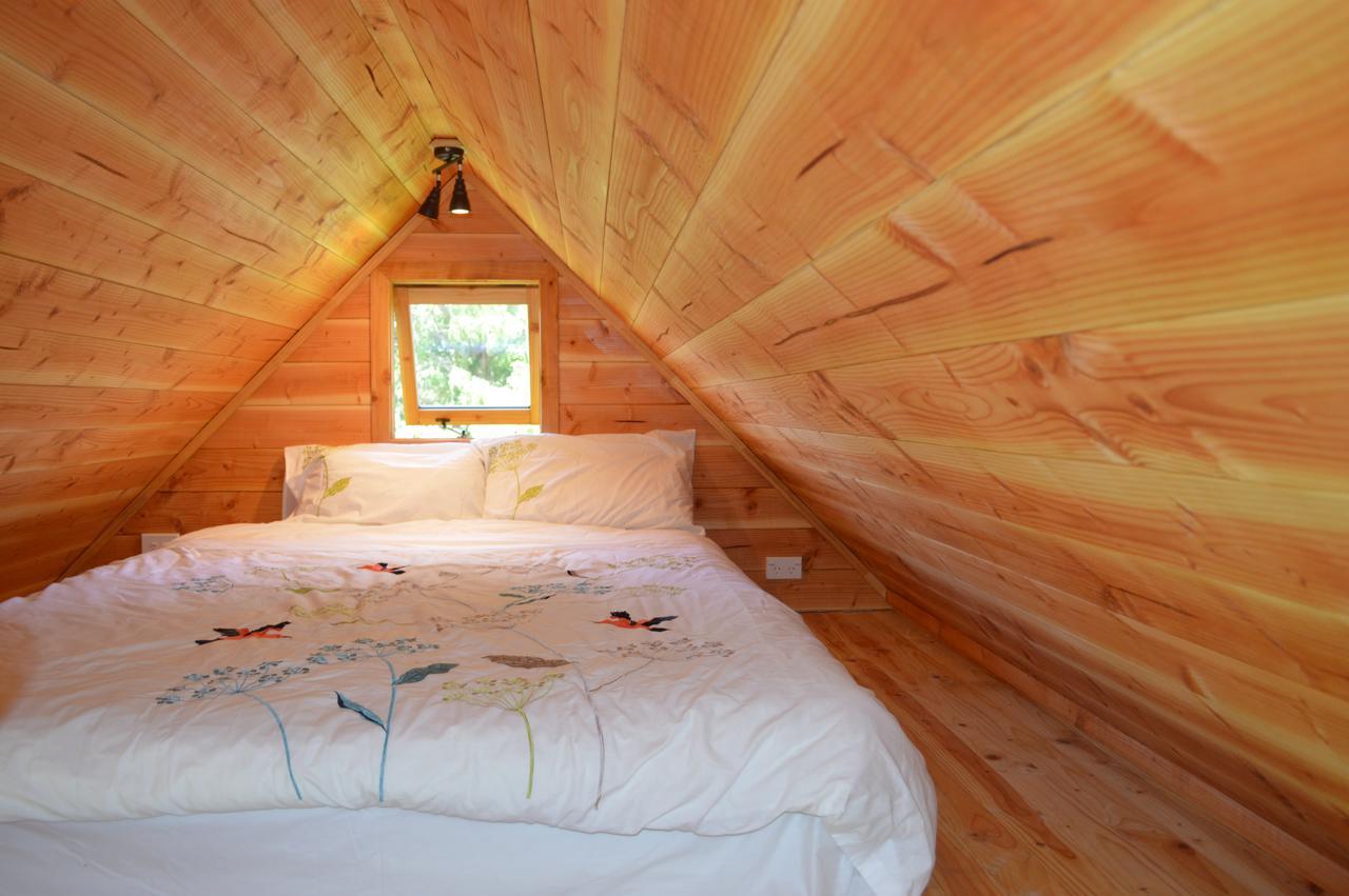 Sunrise Cabin At First Light Rangihaeata Retreat 塔卡卡 外观 照片